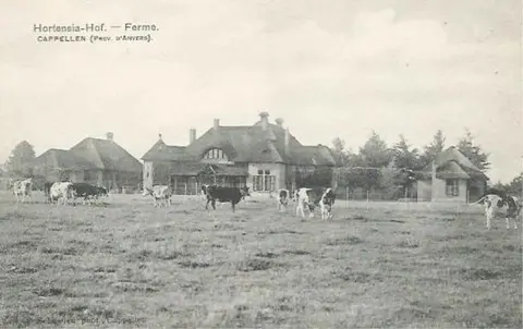 Hortensiahof - Hoeve 2