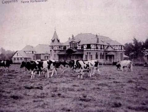Hortensiahof - Hoeve_3