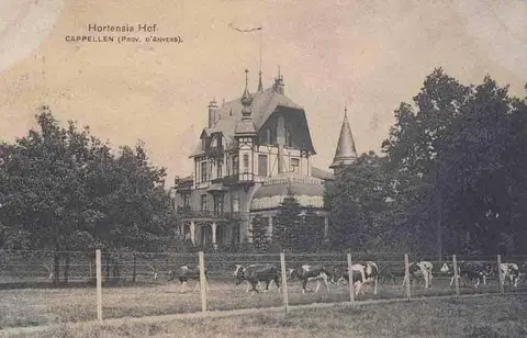 Hortensiahof