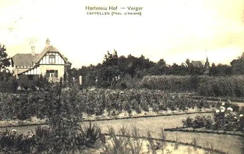 Hortensiahof Groententuin