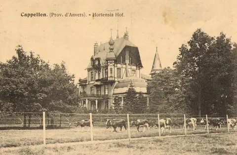 Kasteel Hortensiahof 11
