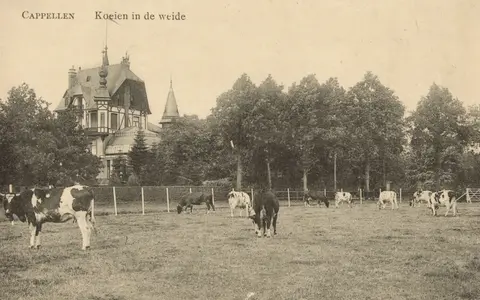 Kasteel Hortensiahof 8