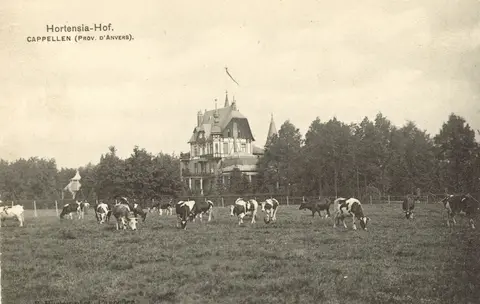 Kasteel Hortensiahof 9