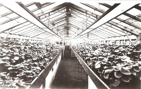 Kasteel Irishof - serre - Block 6