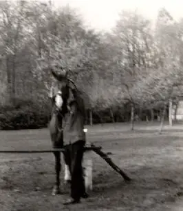 Op den Wal - Paard familie Baeck