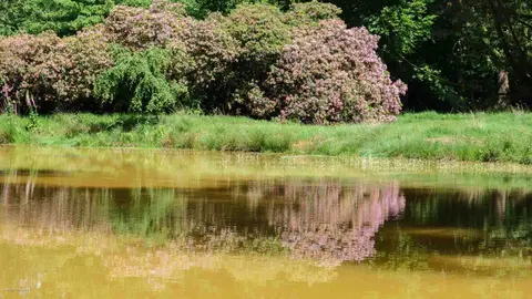 Kasteel Oude Gracht 8