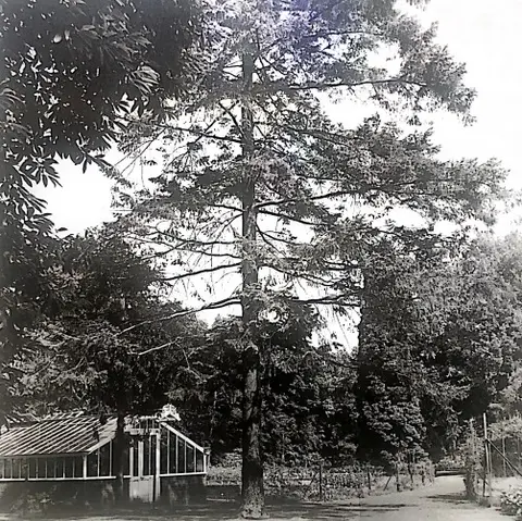 Kasteel Pannenhuys