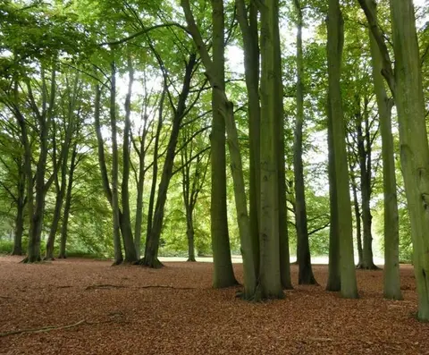 Kasteel Wolvenbos