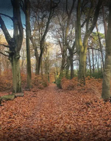 Kasteel Wolvenbos