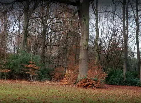 Kasteel Wolvenbos