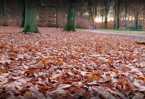 Kasteel Wolvenbos