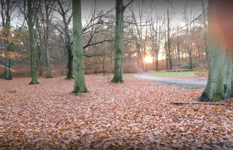 Kasteel Wolvenbos