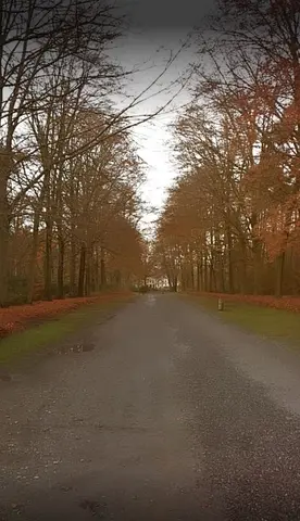 Kasteel Wolvenbos