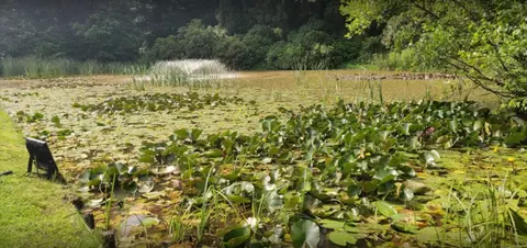 Kasteel Wolvenbos