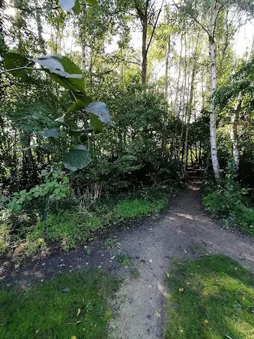 Het Klein Bos 1