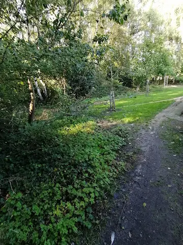 Het Klein Bos 10