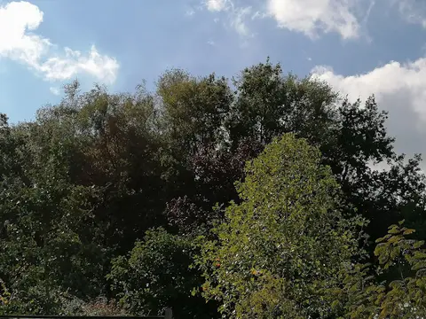 Het Klein Bos 12