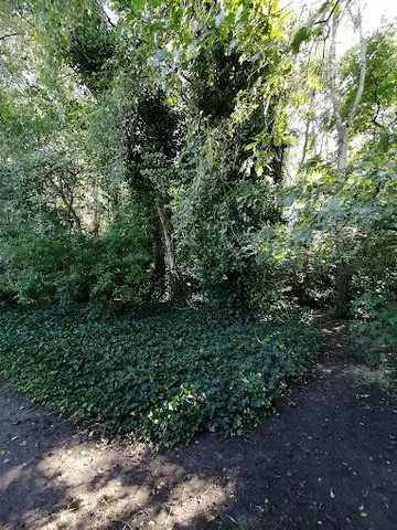 Het Klein Bos 13