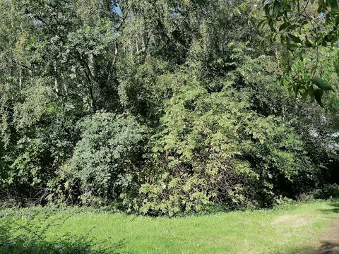 Het Klein Bos 18