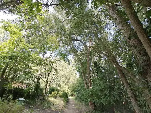 Het Klein Bos 19