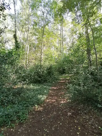 Het Klein Bos 20