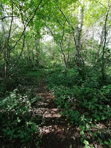 Het Klein Bos 22
