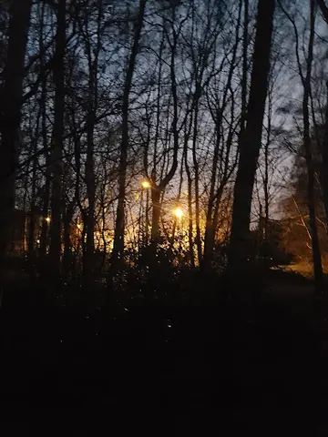Het Klein Bos 24