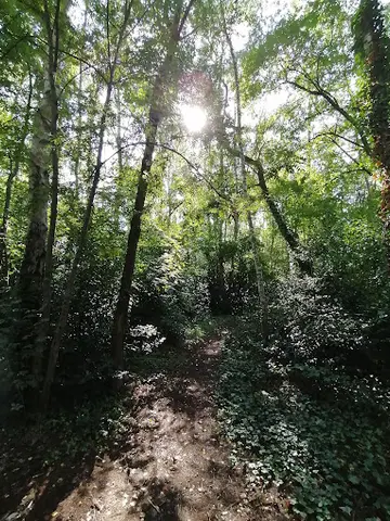 Het Klein Bos 25