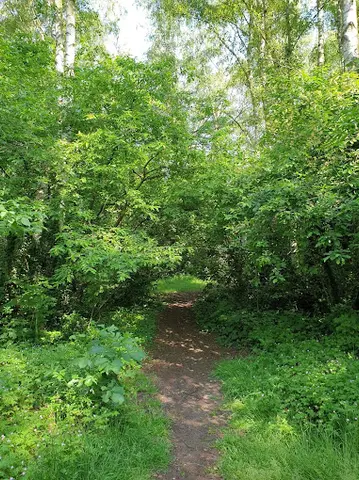 Het Klein Bos 26