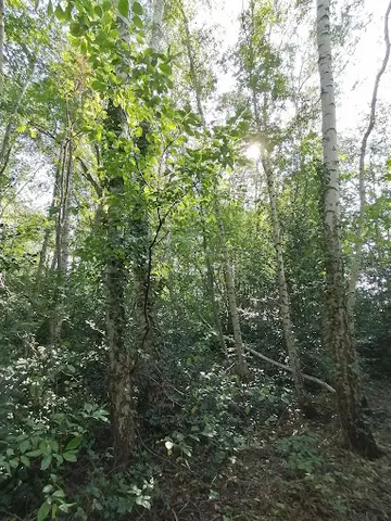 Het Klein Bos 27