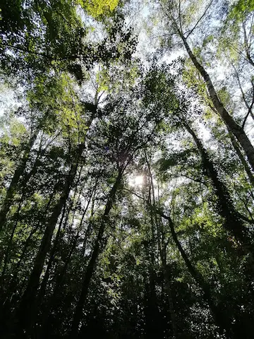 Het Klein Bos 3