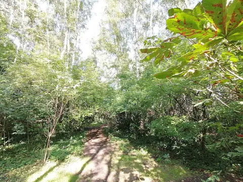 Het Klein Bos 34