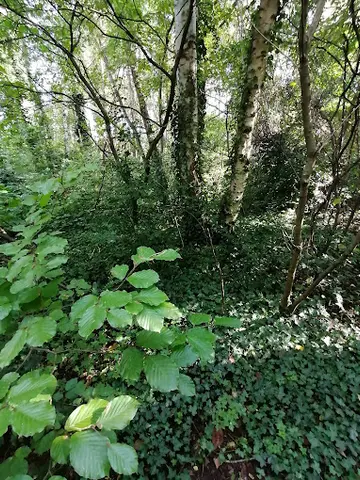 Het Klein Bos 35