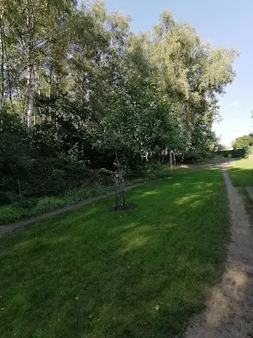 Het Klein Bos 5
