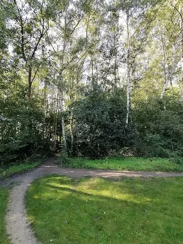 Het Klein Bos 6