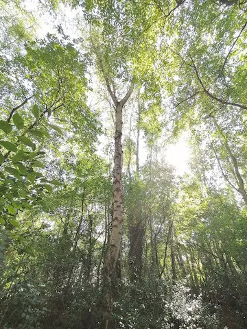Het Klein Bos 8