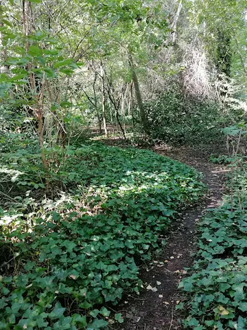 Het Klein Bos 9