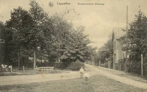 Kon. Astridlaan - Hoogboomsesteenweg 1 in de Kon. Astridlaan