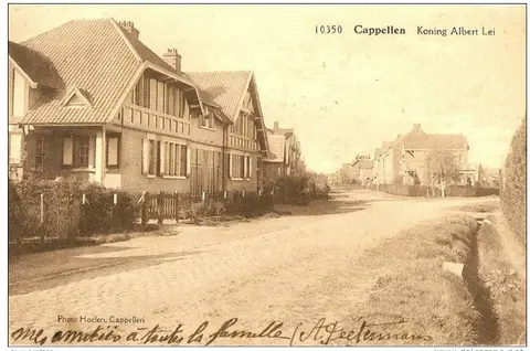 Koning Albertlei in de Koning Albertlei