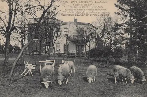 Hoenderhof - zicht in de hof