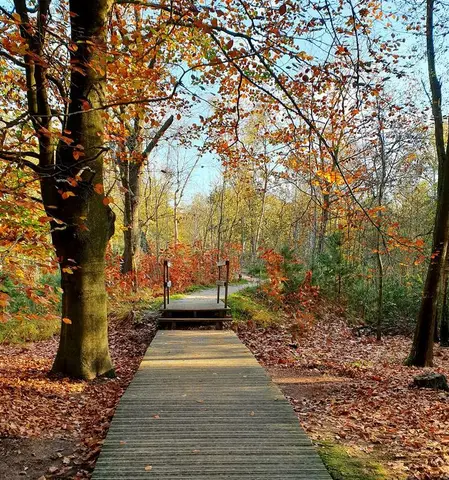 Loopgravenpad in de Loopgravenpad