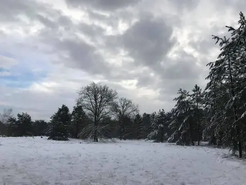 Mastenbos in de Loopgravenpad