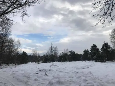 Mastenbos in de Loopgravenpad