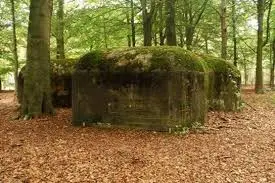 Mastenbos in de Loopgravenpad