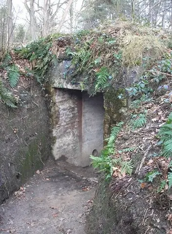 Mastenbos in de Loopgravenpad