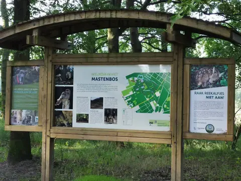 Mastenbos in de Loopgravenpad