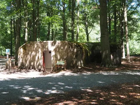 Mastenbos in de Loopgravenpad