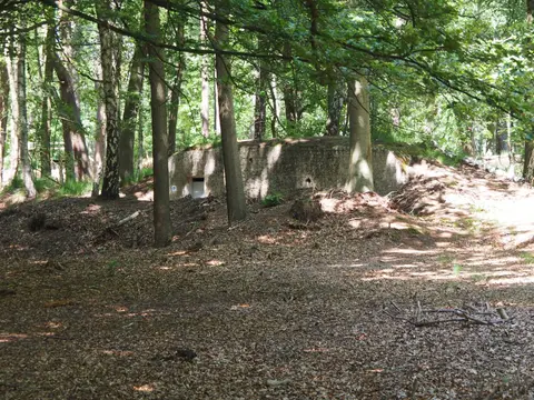 Mastenbos in de Loopgravenpad