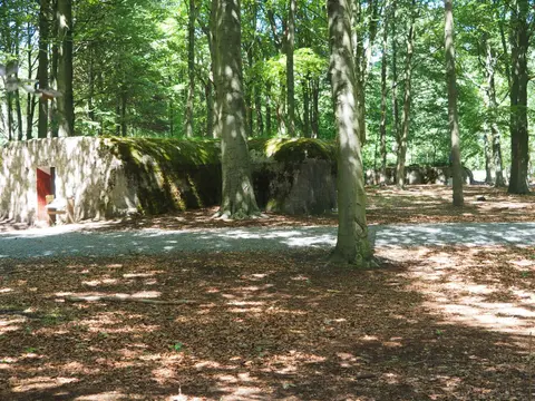 Mastenbos in de Loopgravenpad