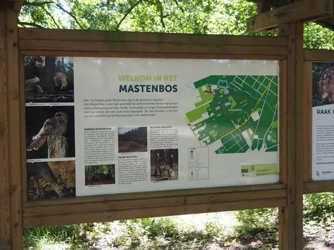 Mastenbos in de Loopgravenpad